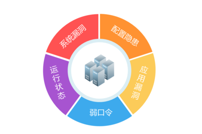 漏洞扫描 构筑网络安全的坚实护盾